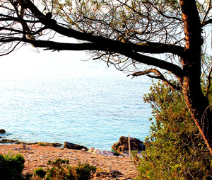 Plaža blizu kampa Mindel Vela Luka