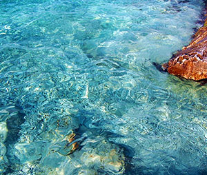 Martina Bok beach