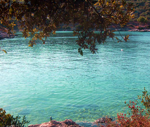 Stratincica cove