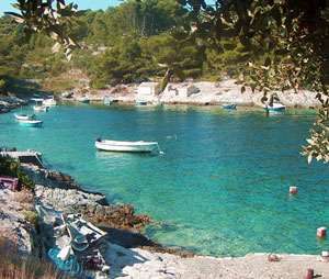 Stratincica cove